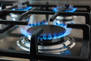 Propane Gas Burner
